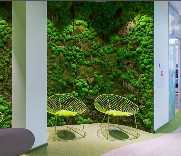 обслуживание цветов в офисе